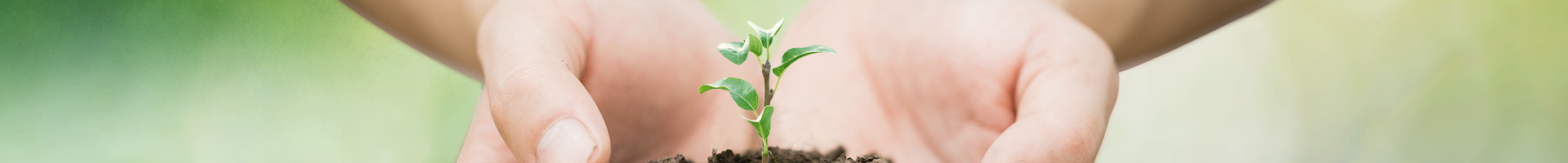 东升国际(中国游)官网 - 首页入口