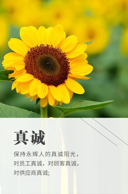 东升国际(中国游)官网 - 首页入口