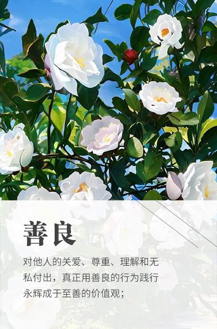 东升国际(中国游)官网 - 首页入口