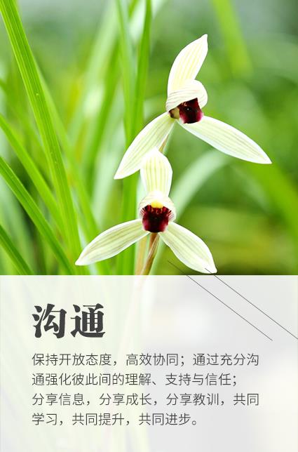 东升国际(中国游)官网 - 首页入口