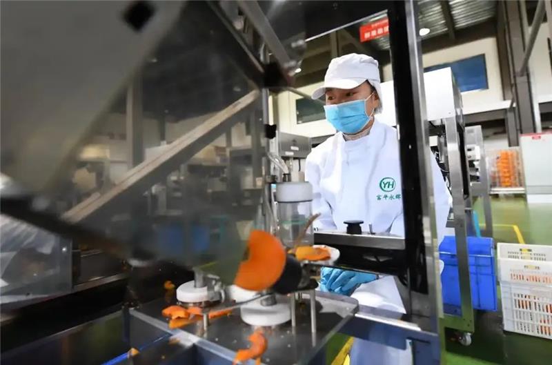 东升国际(中国游)官网 - 首页入口