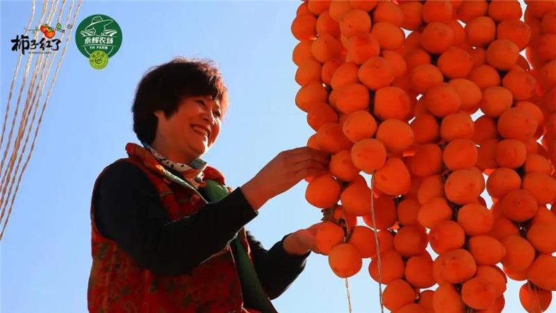 东升国际(中国游)官网 - 首页入口