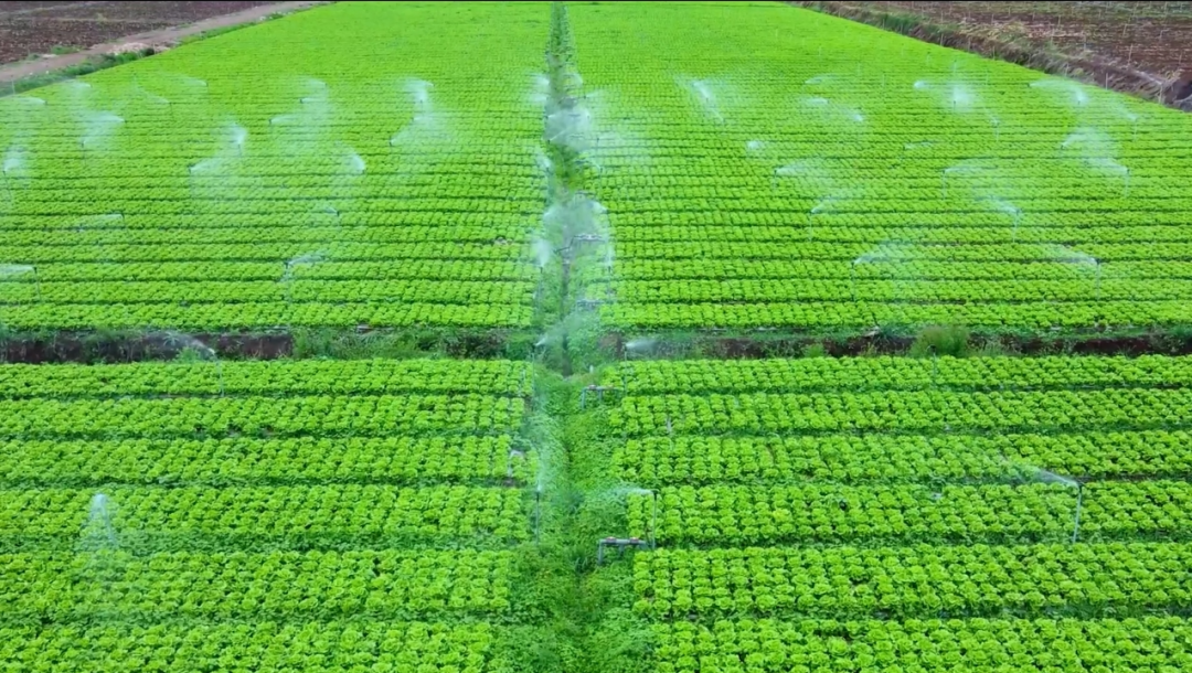 东升国际(中国游)官网 - 首页入口