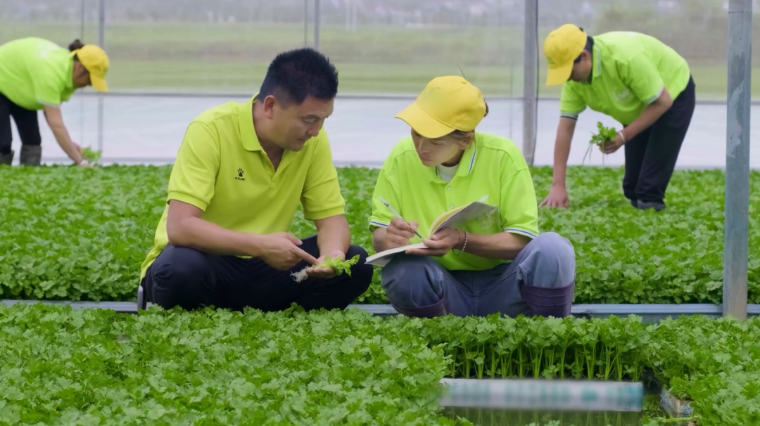 东升国际(中国游)官网 - 首页入口