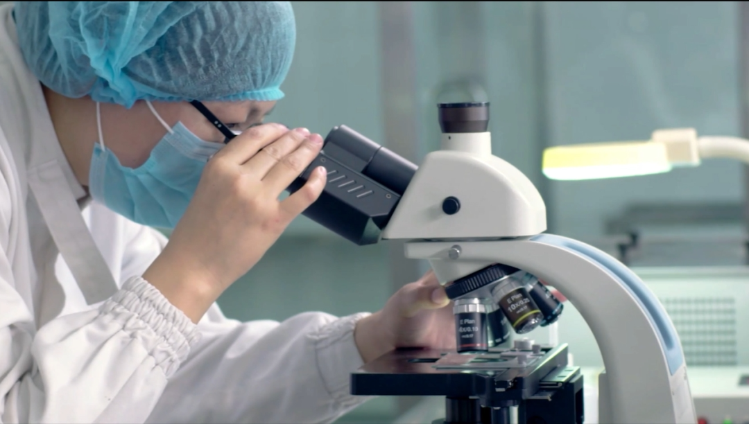 东升国际(中国游)官网 - 首页入口