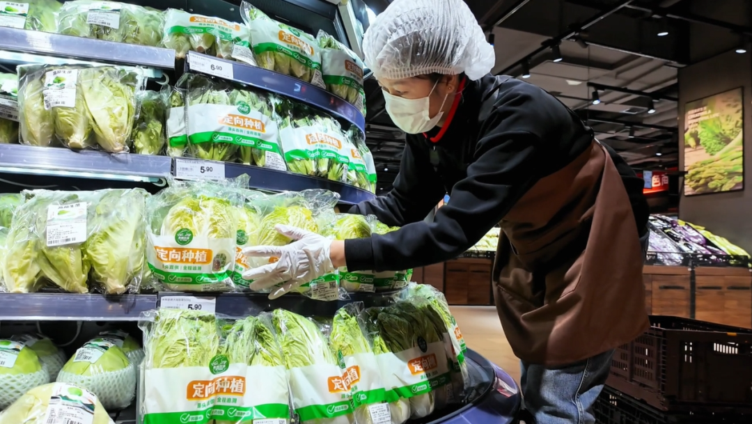 东升国际(中国游)官网 - 首页入口