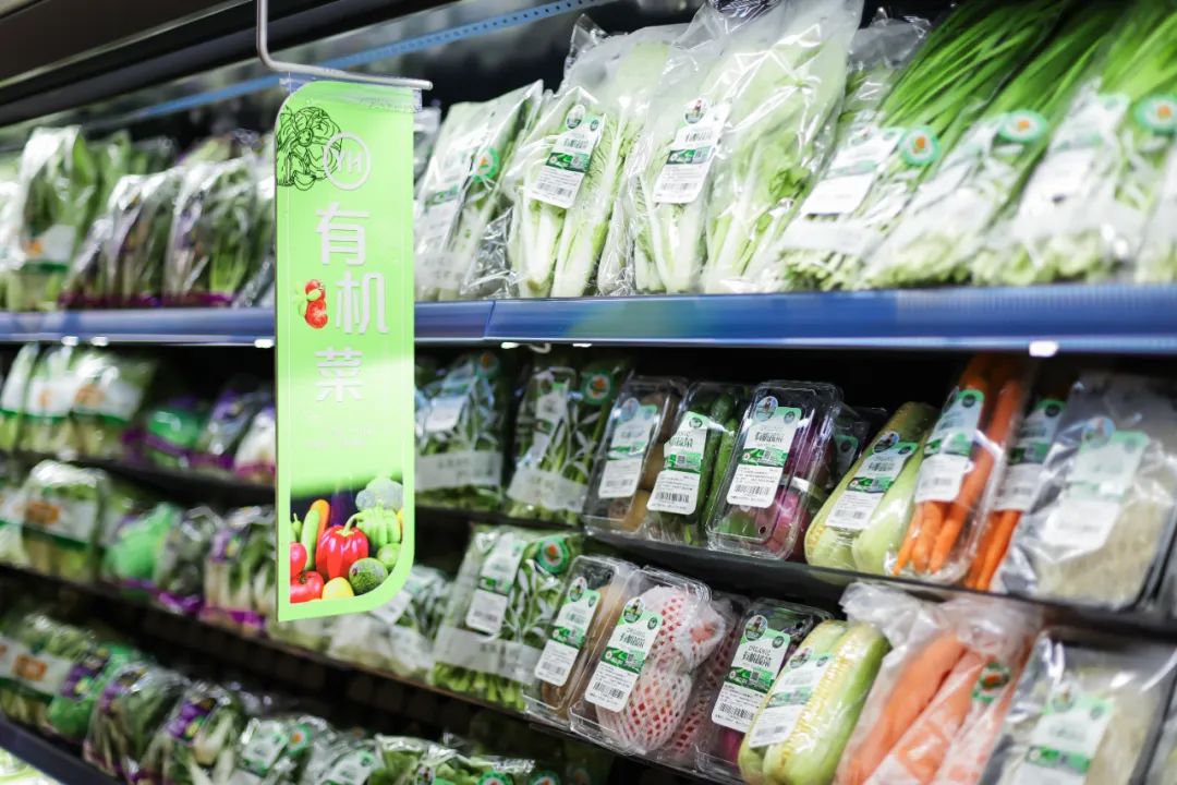 东升国际(中国游)官网 - 首页入口