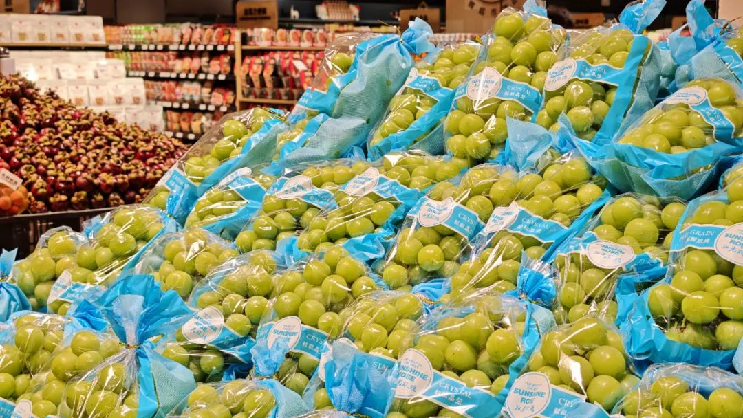 东升国际(中国游)官网 - 首页入口