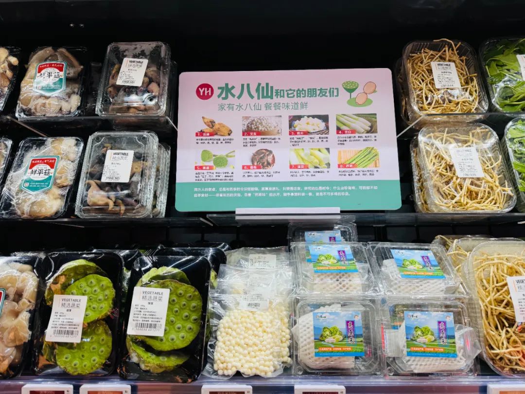 东升国际(中国游)官网 - 首页入口