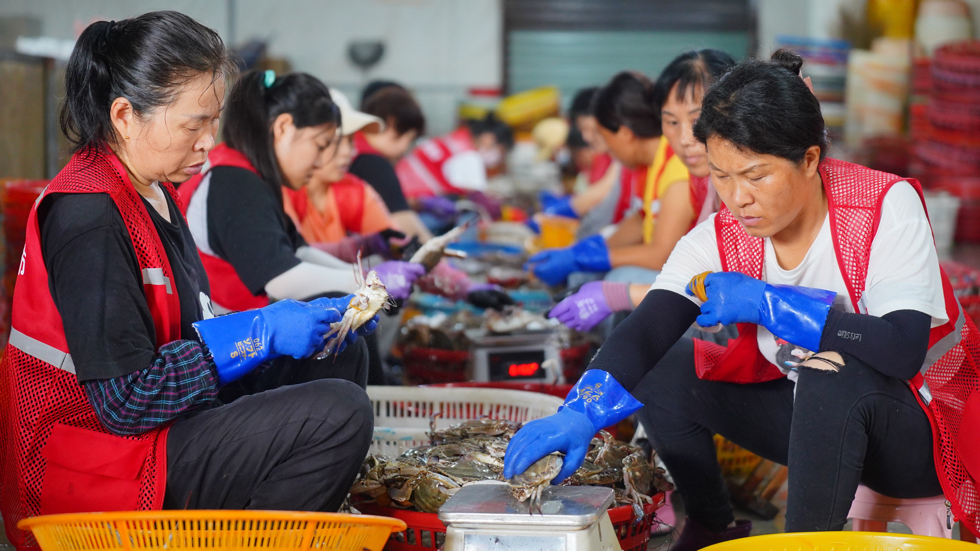 东升国际(中国游)官网 - 首页入口
