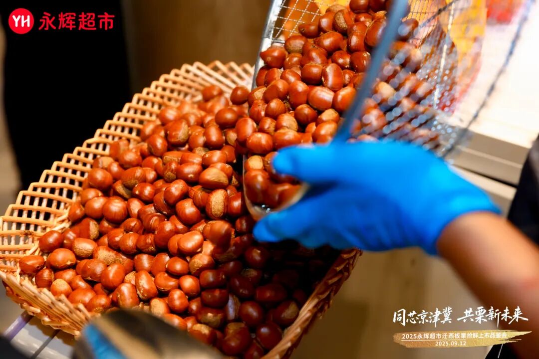 东升国际(中国游)官网 - 首页入口