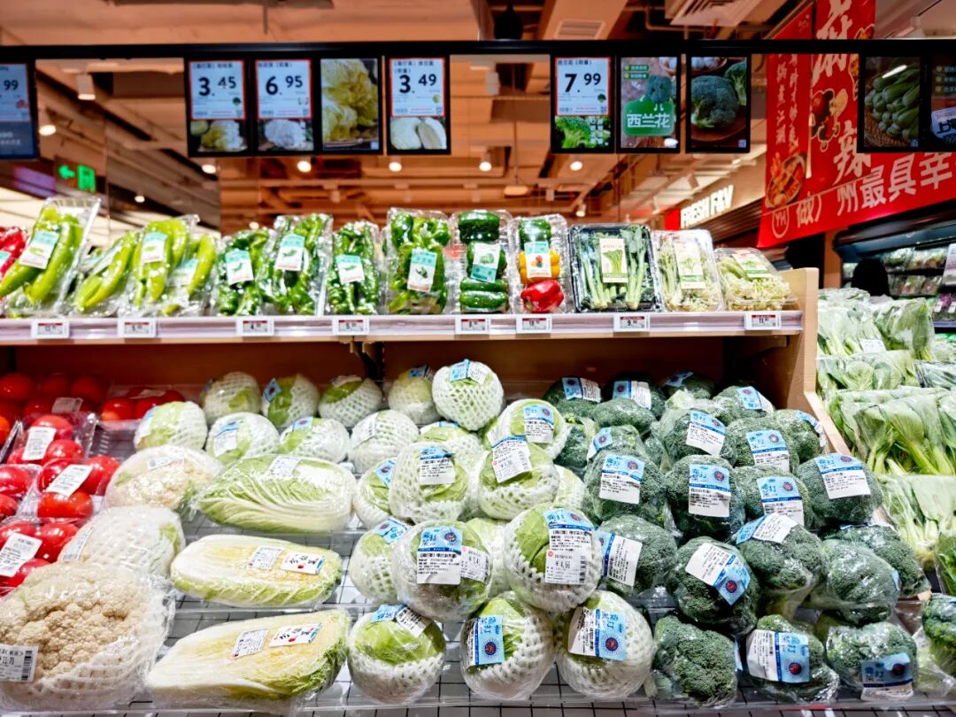 东升国际(中国游)官网 - 首页入口