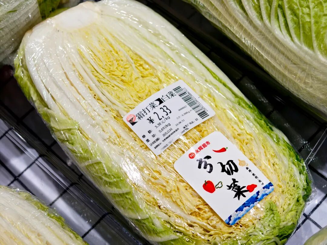 东升国际(中国游)官网 - 首页入口