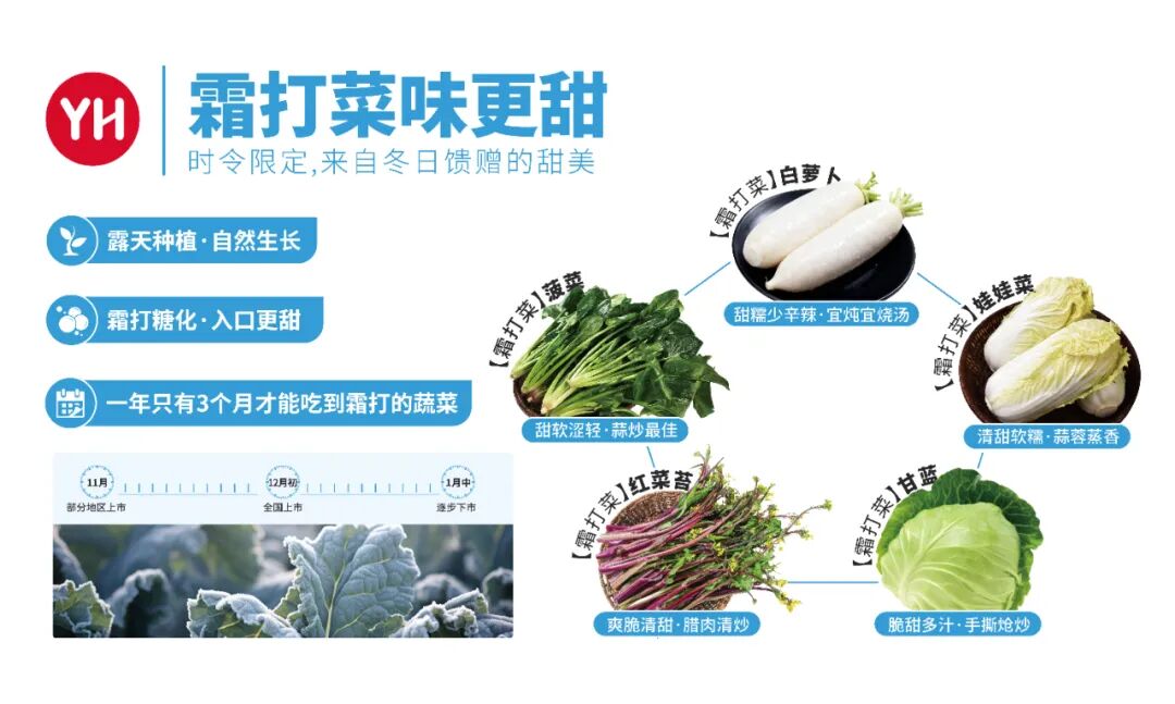 东升国际(中国游)官网 - 首页入口