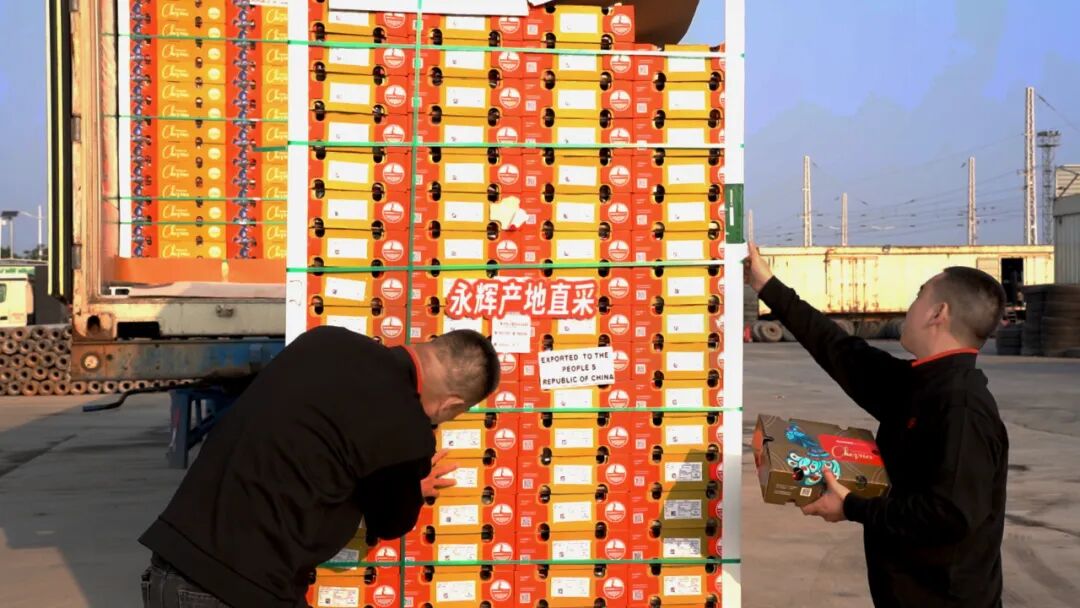 东升国际(中国游)官网 - 首页入口