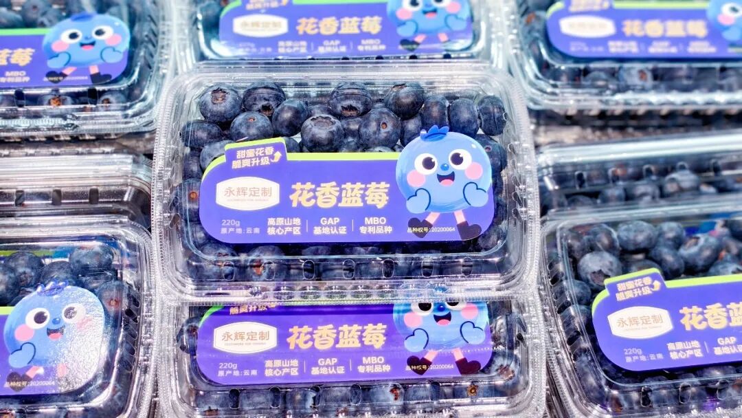 东升国际(中国游)官网 - 首页入口