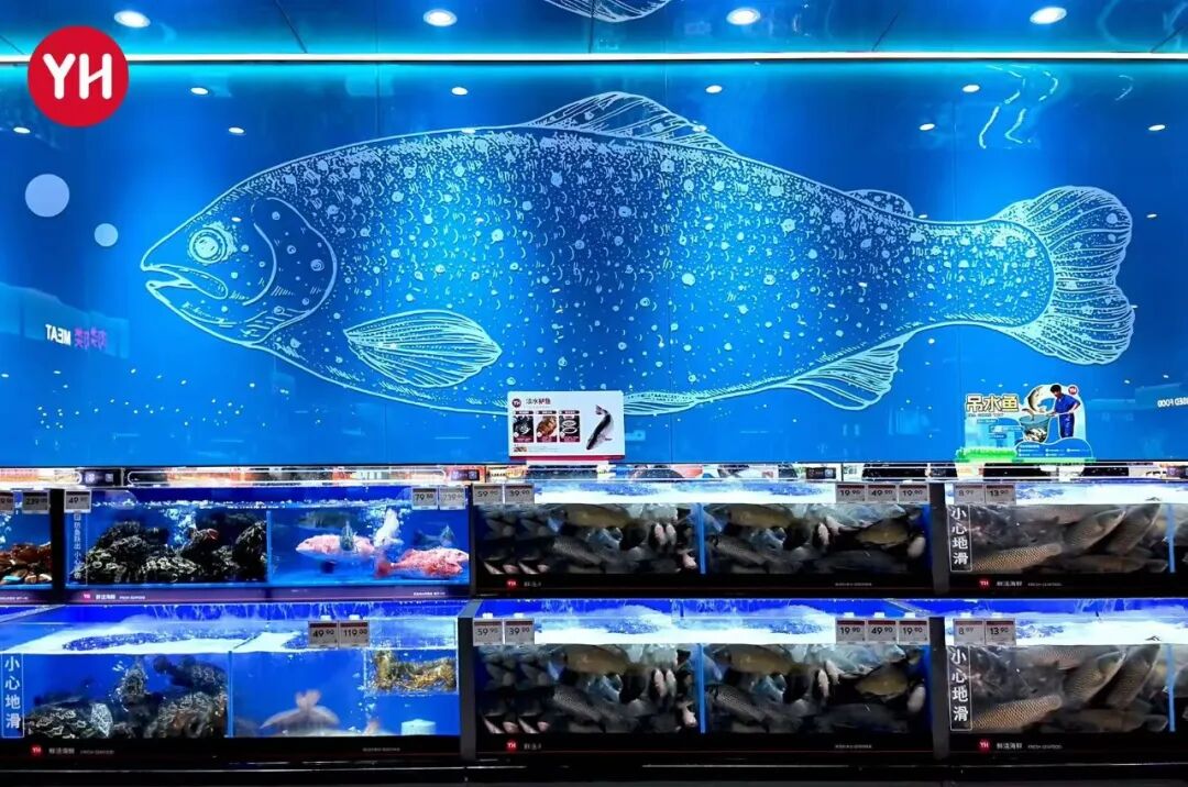 东升国际(中国游)官网 - 首页入口