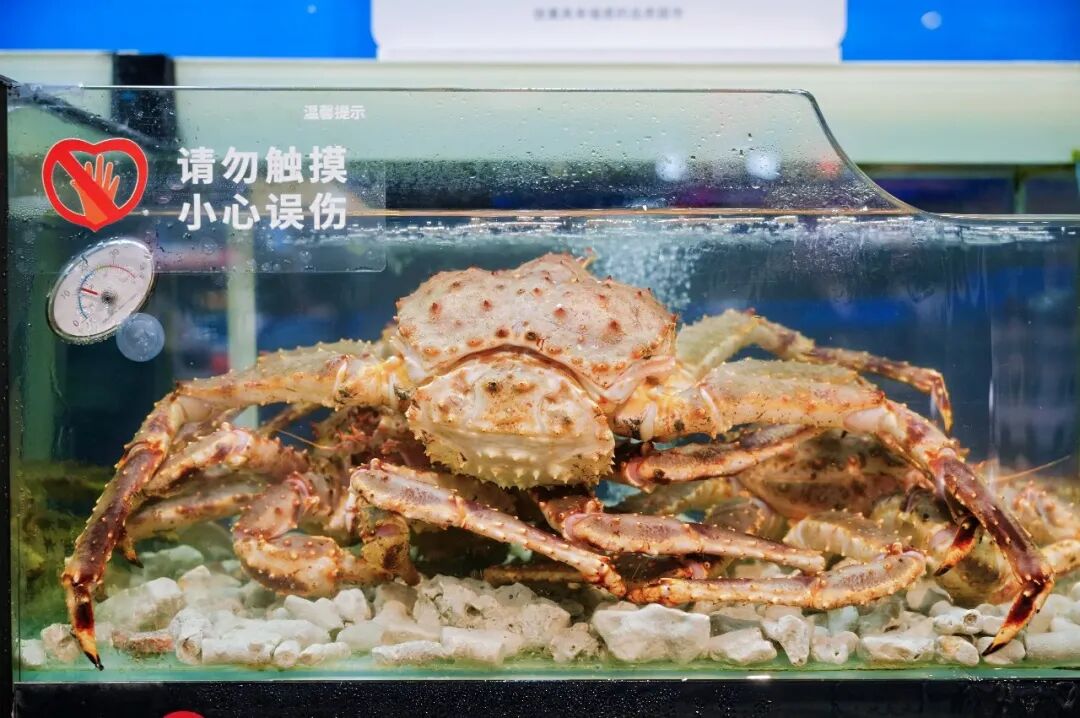 东升国际(中国游)官网 - 首页入口