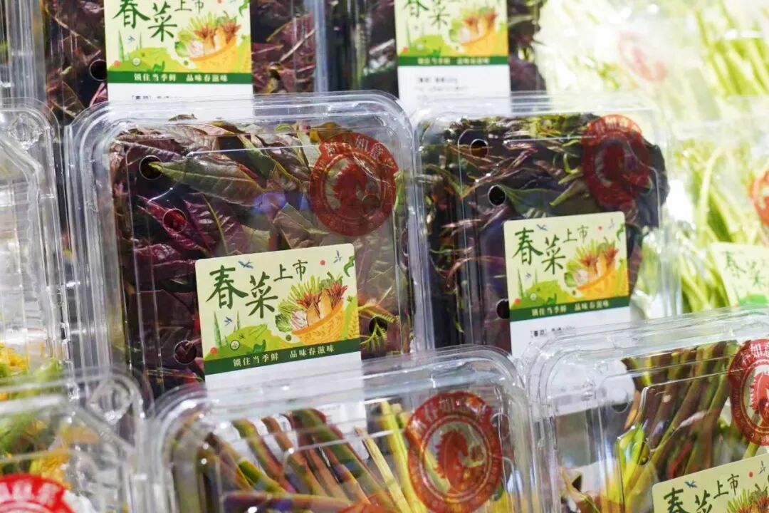 东升国际(中国游)官网 - 首页入口