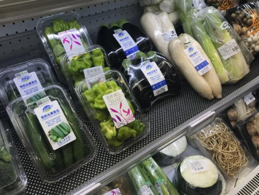 东升国际(中国游)官网 - 首页入口