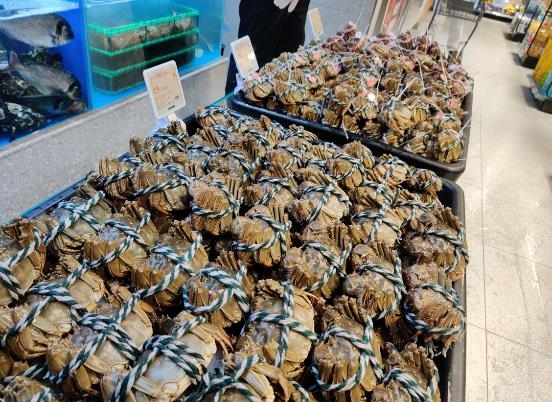 东升国际(中国游)官网 - 首页入口