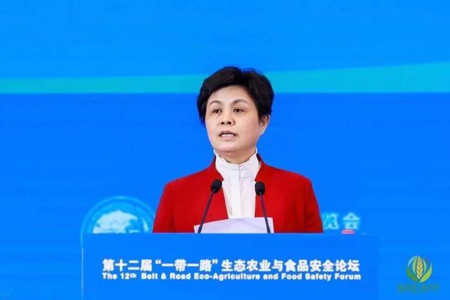 东升国际(中国游)官网 - 首页入口