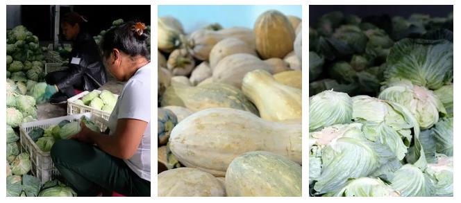 东升国际(中国游)官网 - 首页入口