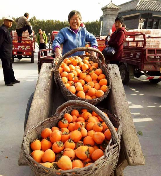 东升国际(中国游)官网 - 首页入口