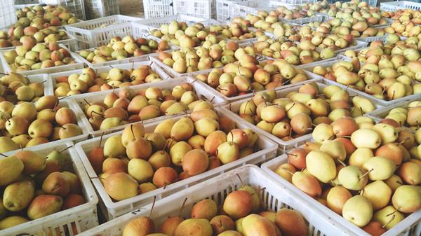 东升国际(中国游)官网 - 首页入口