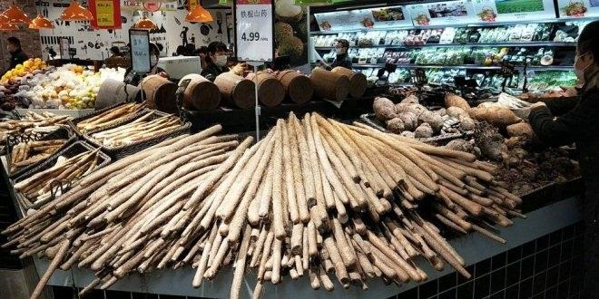 东升国际(中国游)官网 - 首页入口