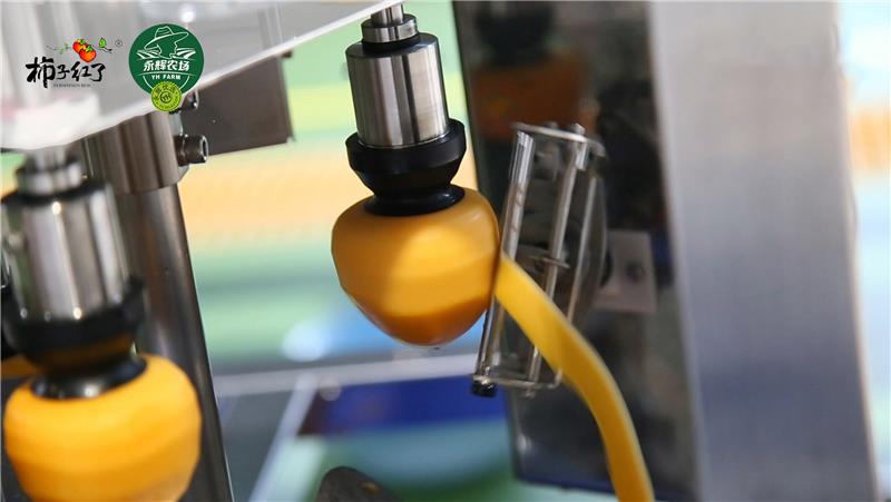 东升国际(中国游)官网 - 首页入口