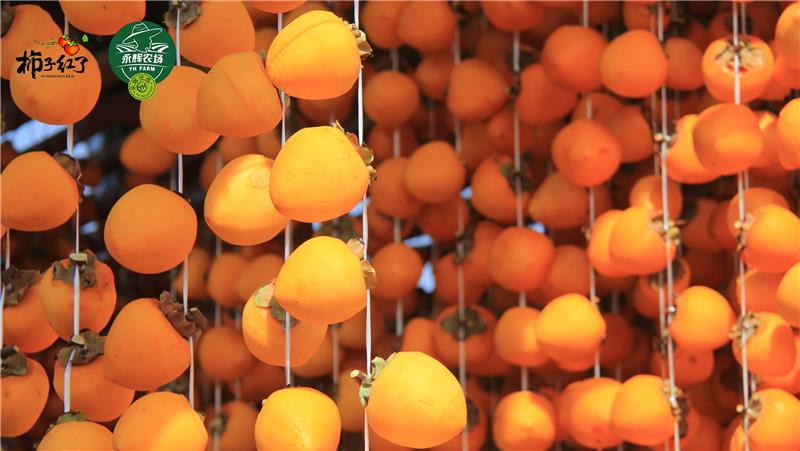 东升国际(中国游)官网 - 首页入口