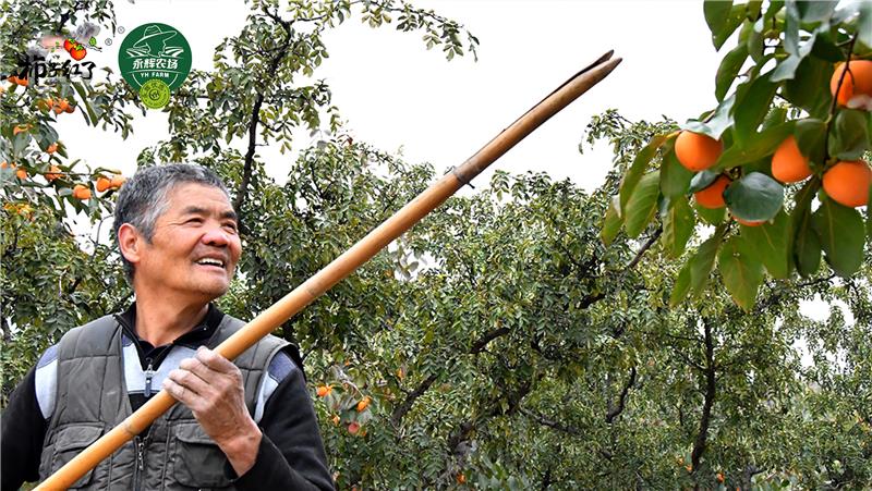 东升国际(中国游)官网 - 首页入口