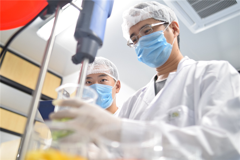 东升国际(中国游)官网 - 首页入口