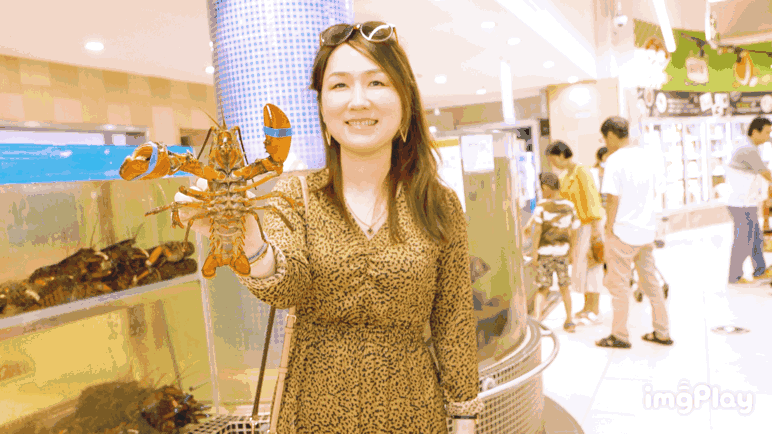 东升国际(中国游)官网 - 首页入口