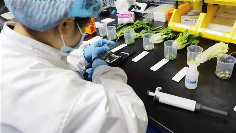 东升国际(中国游)官网 - 首页入口