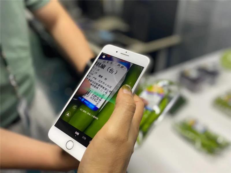 东升国际(中国游)官网 - 首页入口