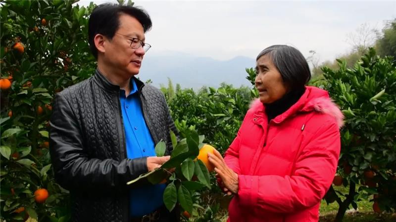 东升国际(中国游)官网 - 首页入口