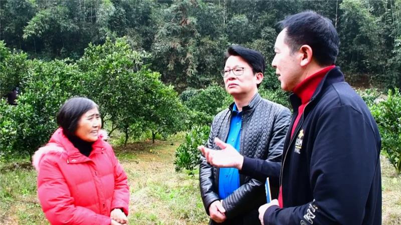 东升国际(中国游)官网 - 首页入口