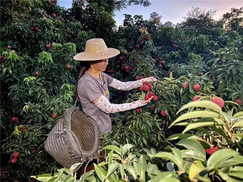 东升国际(中国游)官网 - 首页入口