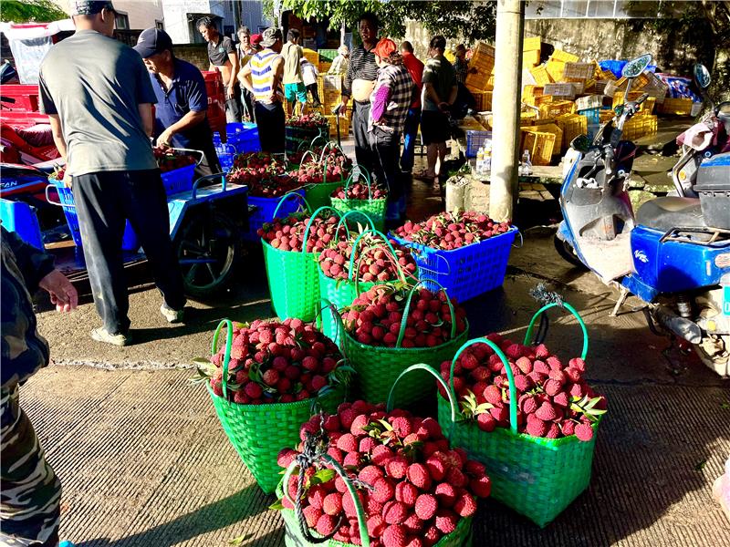 东升国际(中国游)官网 - 首页入口