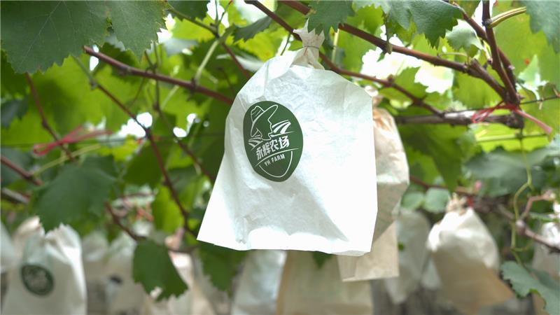 东升国际(中国游)官网 - 首页入口