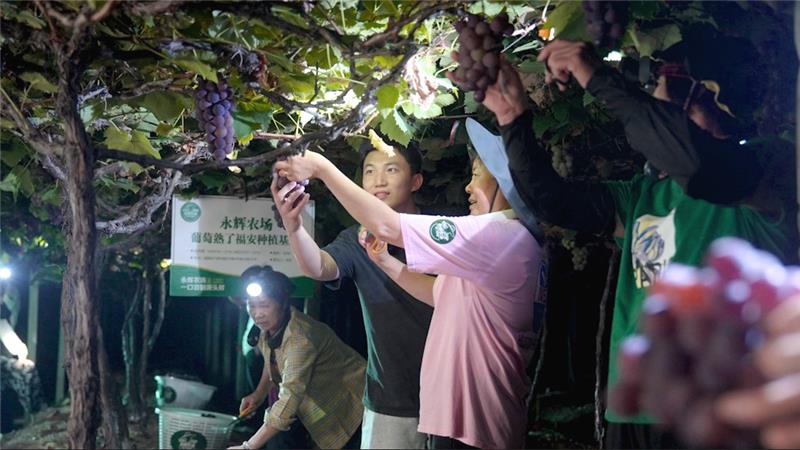 东升国际(中国游)官网 - 首页入口