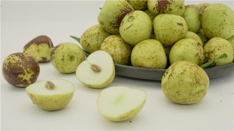 东升国际(中国游)官网 - 首页入口