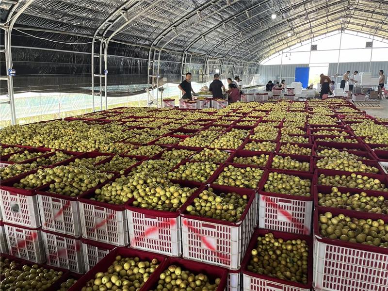 东升国际(中国游)官网 - 首页入口