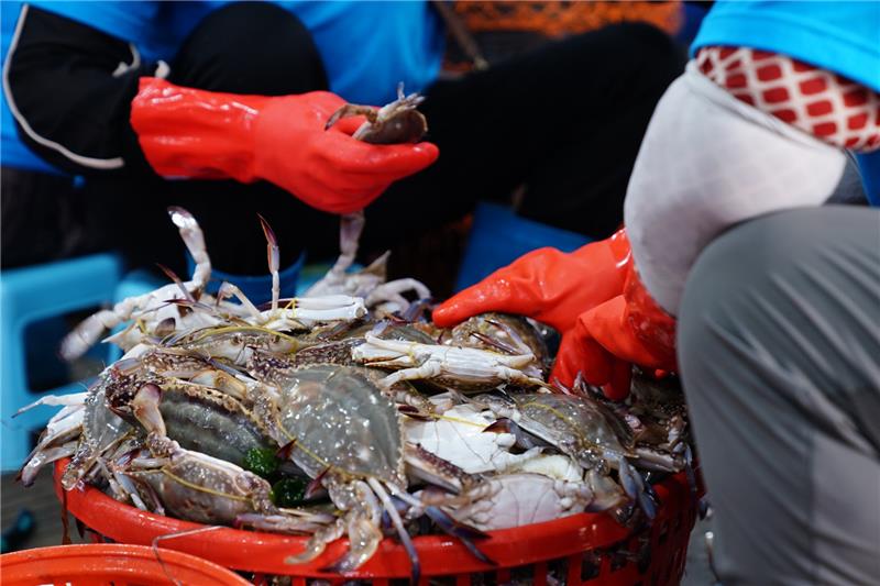 东升国际(中国游)官网 - 首页入口