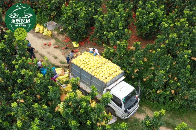 东升国际(中国游)官网 - 首页入口