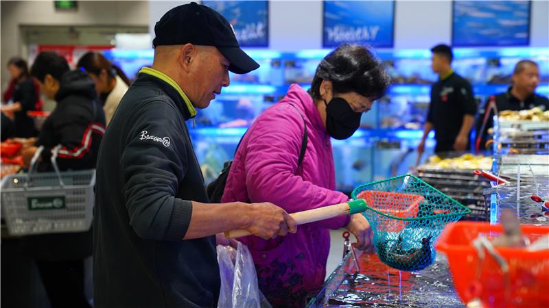 东升国际(中国游)官网 - 首页入口