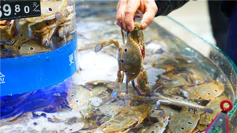 东升国际(中国游)官网 - 首页入口