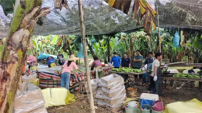 东升国际(中国游)官网 - 首页入口